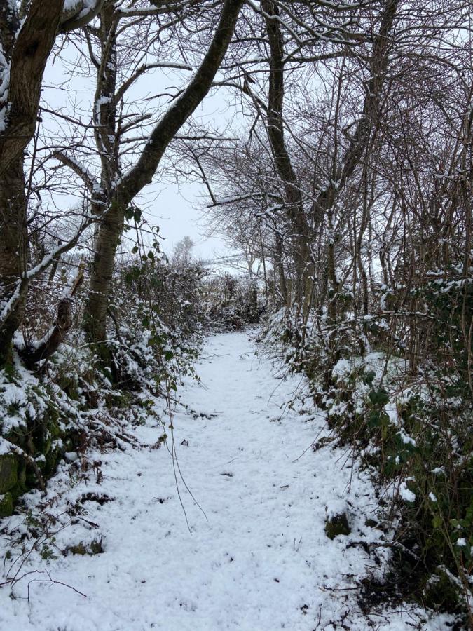 Bramble Cottage Rathfriland Luaran gambar