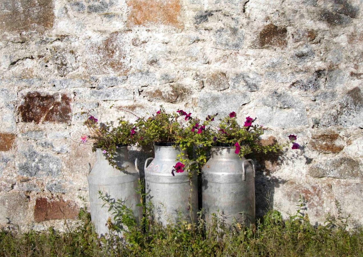 Bramble Cottage Rathfriland Luaran gambar